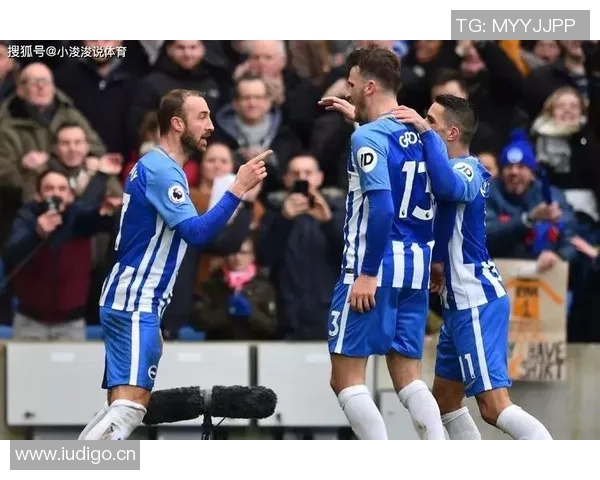 英超收官:布莱顿与诺维奇的保级生死局